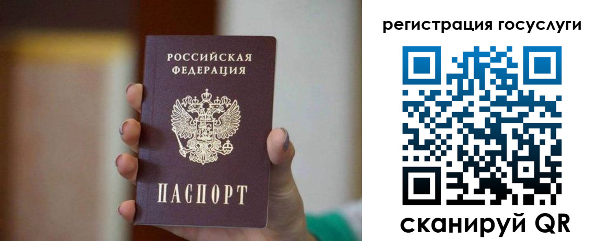 прописка штамп в Владивостоке